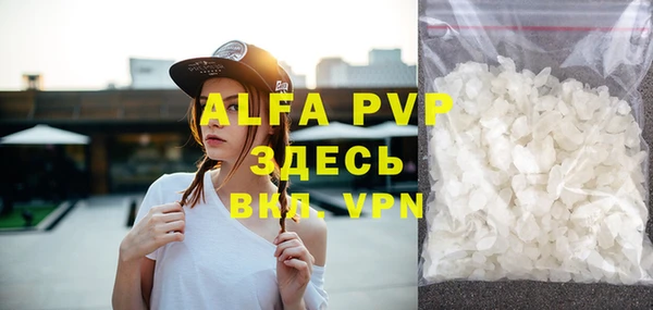 прущие грибы Вязьма