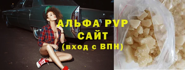 прущие грибы Вязьма