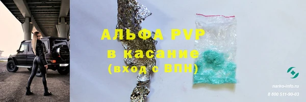 прущие грибы Вязьма