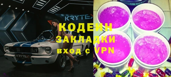 прущие грибы Вязьма