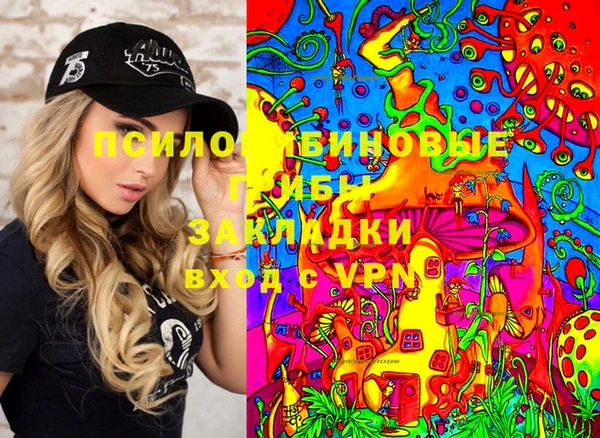 стаф Вязники
