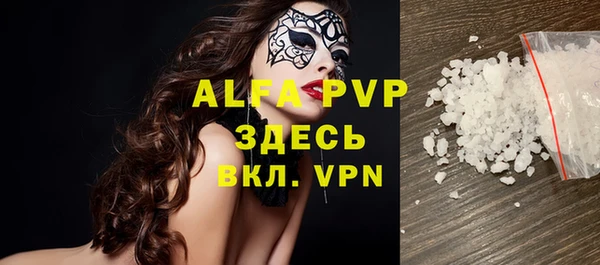 прущие грибы Вязьма